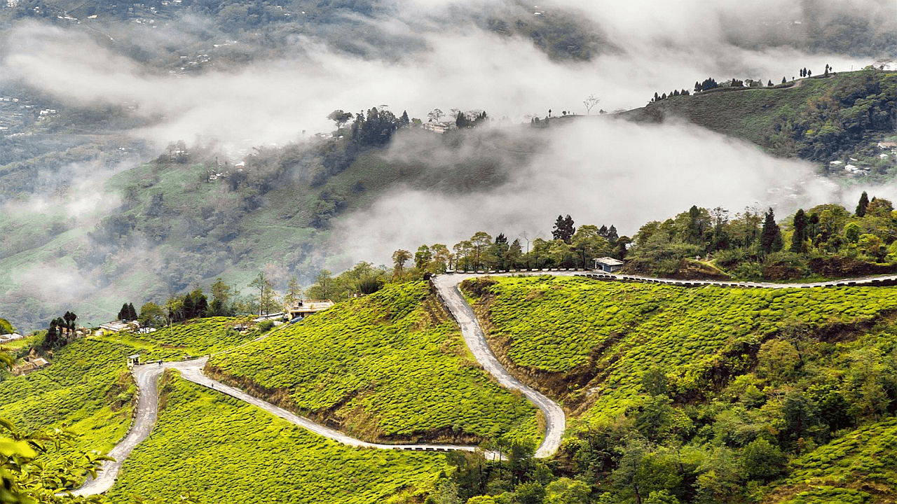 Savor Romance in Tea Gardens & Mountains– 5 Days 4 Nights Darjeeling Gangtok Honeymoon Package