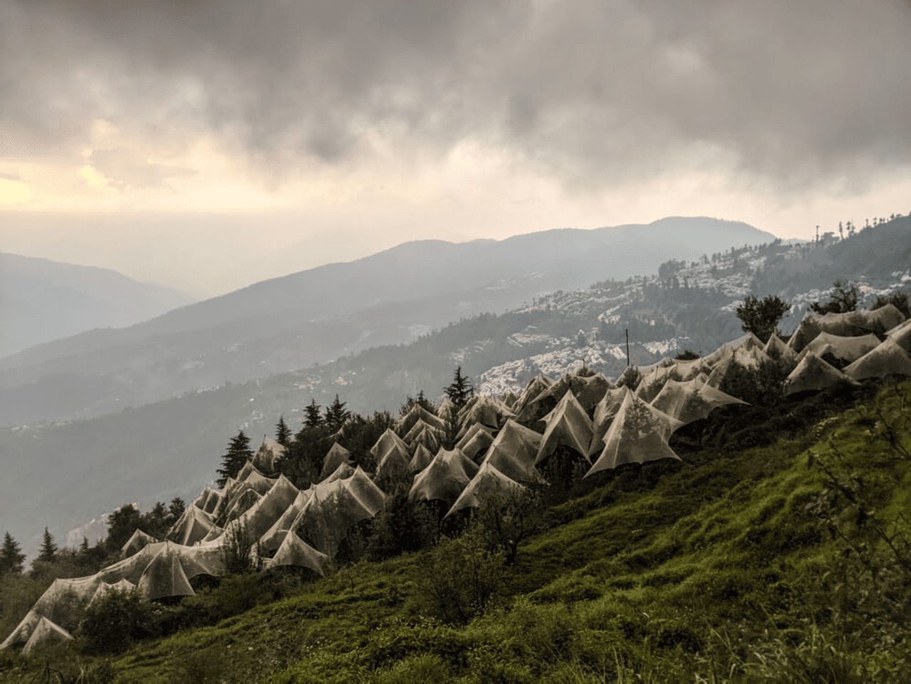 Himachal Tour Package: 5 Nights of Scenic Beauty in Dharamshala, Dalhousie & Amritsar