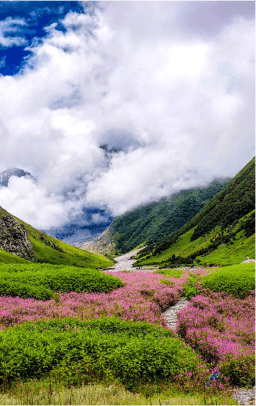 Uttarakhand Tour Package: 4N Ex-Haridwar: Govindghat & Ghangaria Adventure