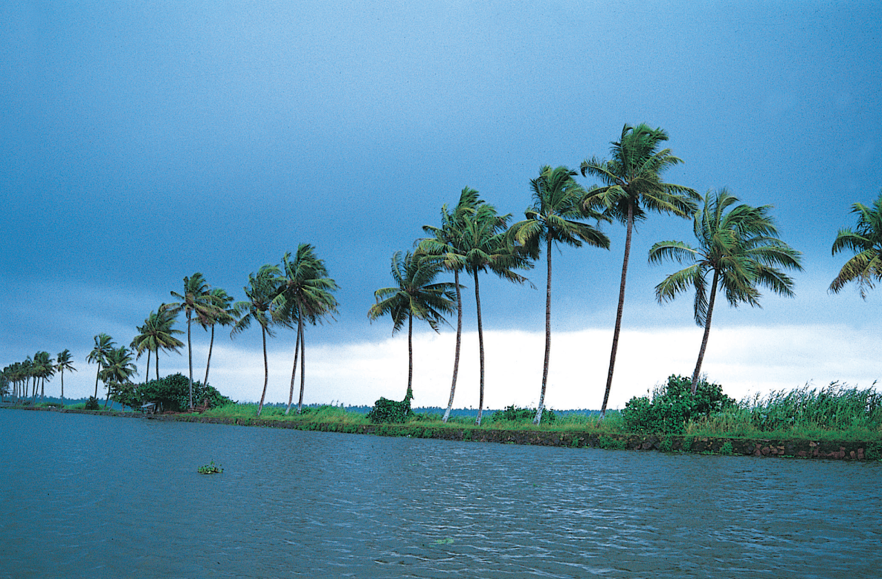 Kerala Tour Package: 5 Nights in Kerala Bliss