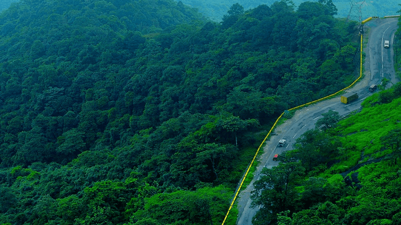 Top Tourist Places in Wayanad: Best places to Visit in Wayanad