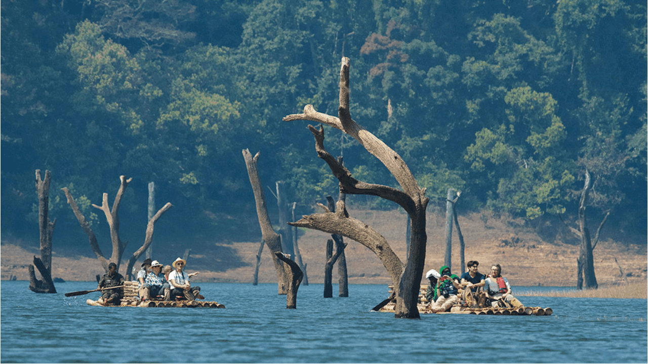 Top Tourist Places in Thekkady: Discover the captivating beauty of Thekkady