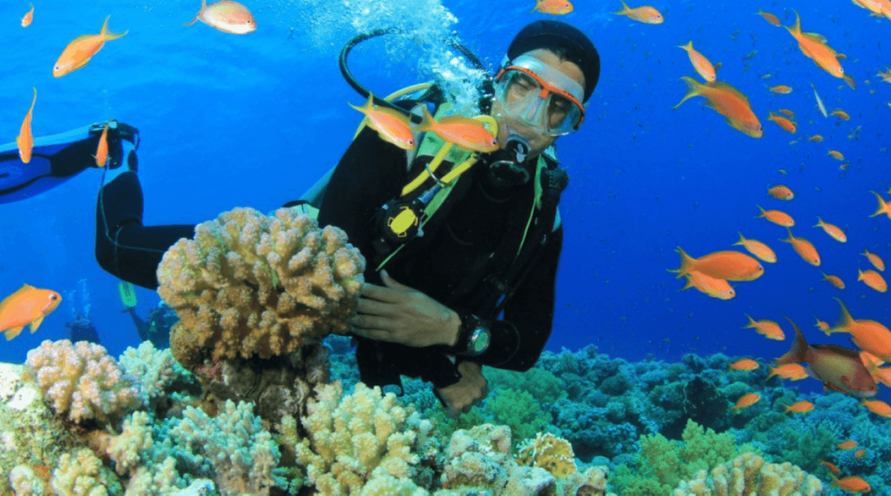 Andaman 8 Days 7 Nights Tour Package: 7 Nights of Island Paradise – Port Blair, Havelock & Neil