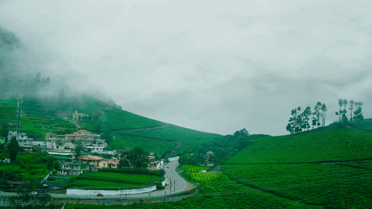 Ooty Tour Package: Escape to the Queen of Hills