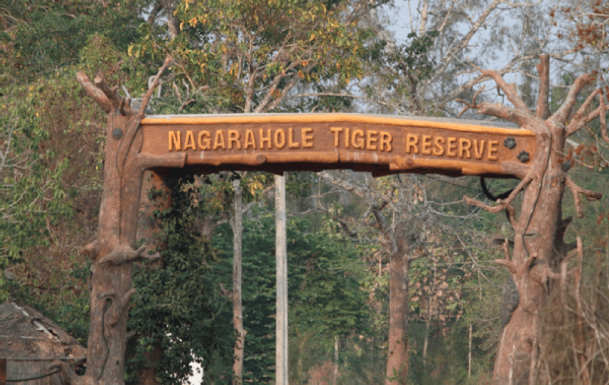 Nagarhole Tourist Places: Where Wilderness Meets Serenity