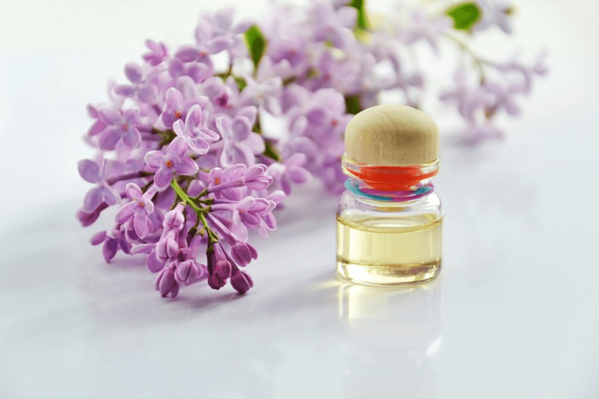 Perfumed Trails – Exploring India’s Attar & Perfume Heritage (Kannauj, Hyderabad, Lucknow)